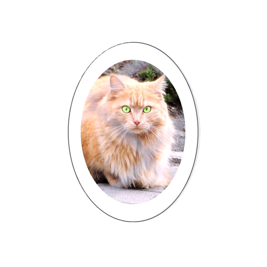 Médaillon RICHEVILLE 27420
 photo porcelaine couleur ovale pour chien, chat...